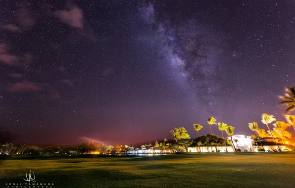 Stars, palm trees, lawn, The Milky Way, photographer, Kenji Yamamura