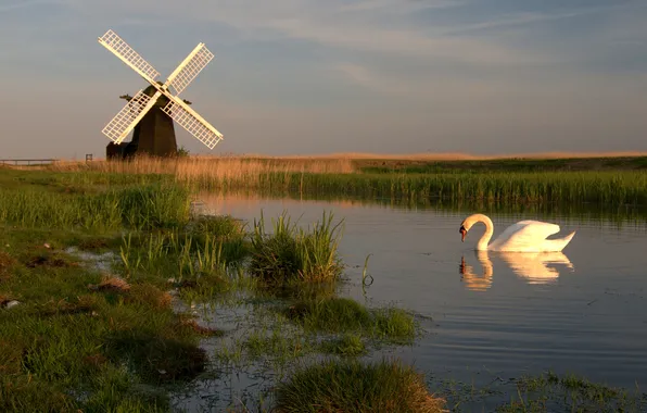 Picture the sky, bird, channel, Swan, windmill