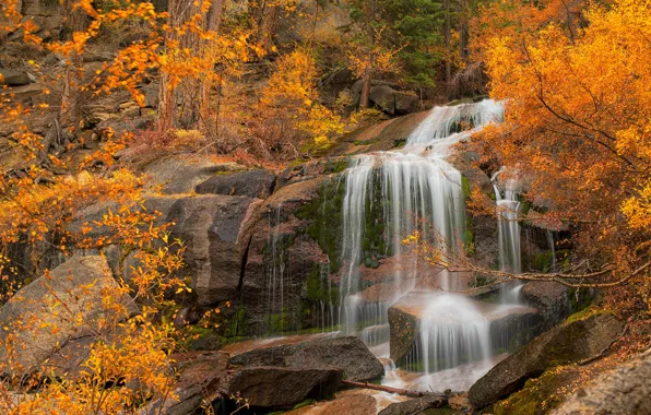Autumn, trees, rock, waterfall, CA, cascade, California, Eastern Sierra