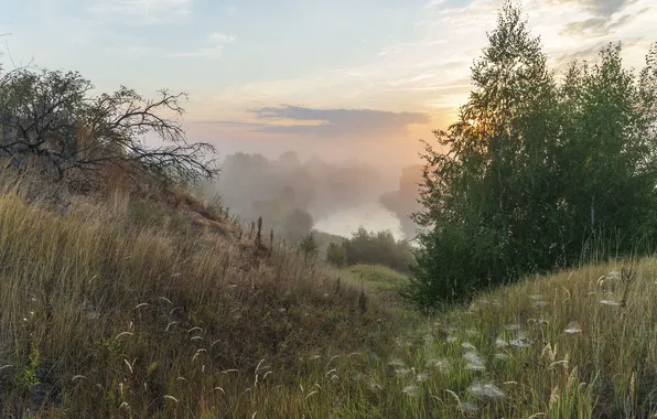 Field, the sky, grass, clouds, mountains, branches, fog, lake