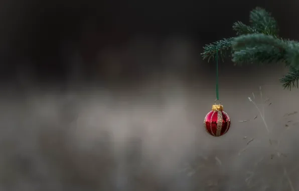 Holiday, toy, ball, ball, tree