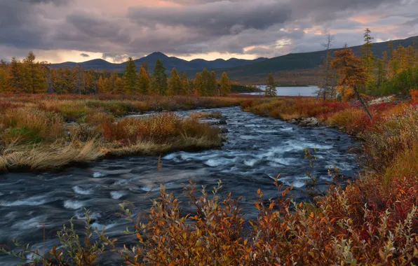 Autumn, landscape, mountains, clouds, nature, stream, Kolyma, Maxim Evdokimov