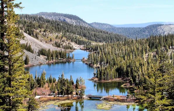 Forest, mountains, lake, California, Mammoth Lakes