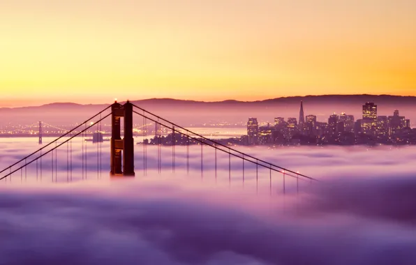 Sunset, bridge, lights, fog, san francisco, San Francisco, golden gate bridge