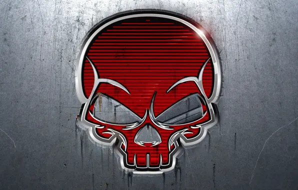 Picture metal, Skull, metal, sake, red