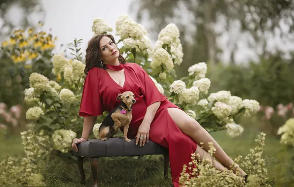 Background, woman, dog