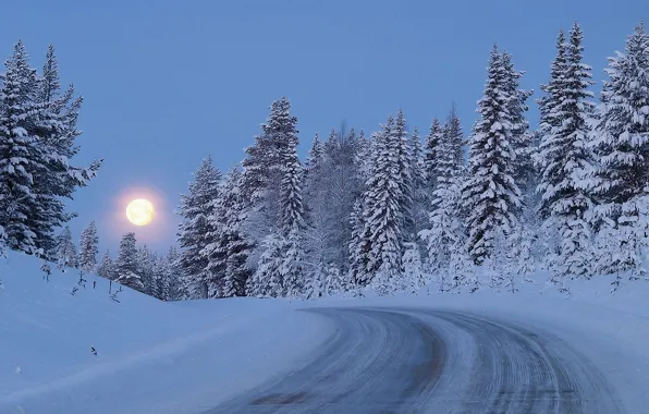 Picture road, forest, snow, trees, the moon, Winter, twilight