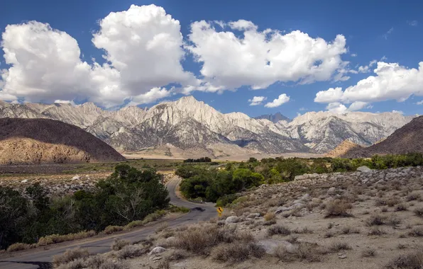 Road, field, landscape