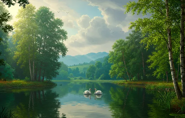The sky, water, the sun, clouds, trees, lake, Wallpaper, figure