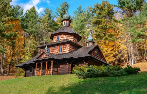 Autumn, forest, the sun, trees, slope, temple, wooden, Ukraine