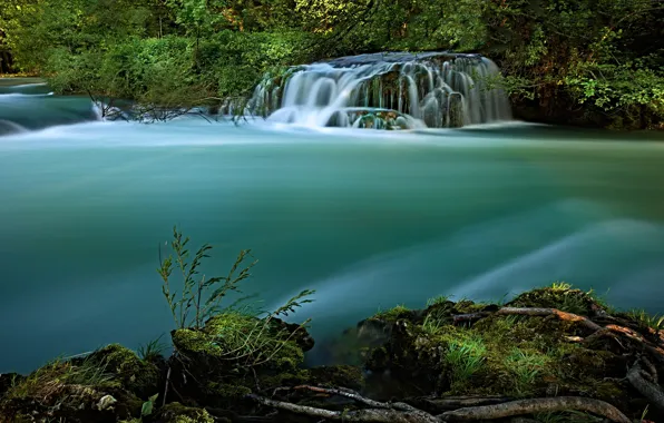 Summer, grass, water, branches, nature, green, river, shore