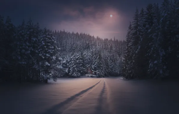 Picture winter, forest, snow, night, traces, the moon, house