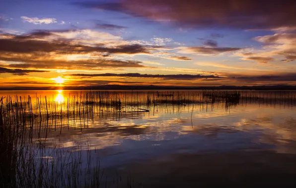 Picture the sky, the sun, clouds, lake, reflection, mirror, the bushes, the stems of the sunset