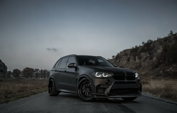 Front view, 2018, BMW X5, crossover, X5M, Z Performance