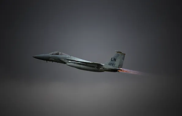 Picture flight, fighter, Eagle, F-15C