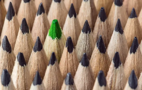 Picture macro, background, pencils