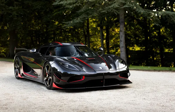 Picture trees, design, black, Koenigsegg, sports car, exterior, Koenigsegg Agera RS