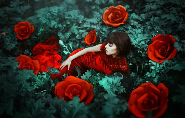 Picture girl, flowers, mood, roses, red dress, Maria Eugenia