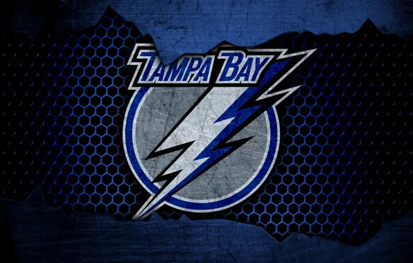 Wallpaper, sport, logo, NHL, hockey, Tampa Bay Lightning