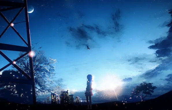 Picture the sky, girl, night, the city, tree, bird, the moon, Y_Y