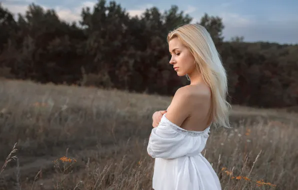 Picture girl, pose, dress, meadow, blonde, shoulder, Albert Forest