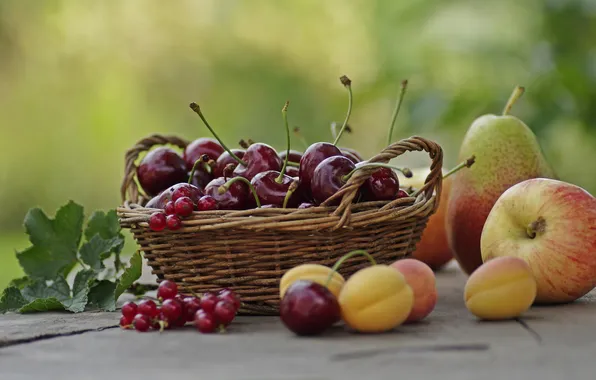Picture summer, cherry, basket, Apple, fruit, currants, pear. apricots