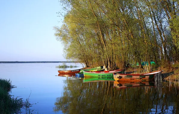 The sky, trees, river, boat