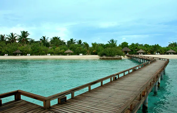 Picture beach, island, maldives, vacation