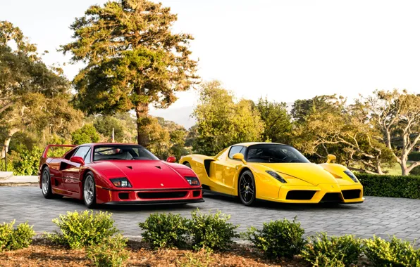 Picture Red, F40, Enzo, Yellow