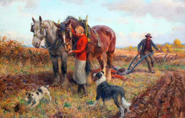 Picture Girl, Field, Picture, Dogs, Horse, Male, Rowland Wheelwright, Rowland Of Flrit