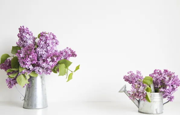 Bouquet, lake, lilac, bucket
