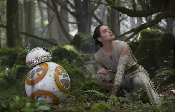Picture robot, Star Wars, Star Wars, The Force Awakens, Daisy Ridley, Daisy Ridley, The Force Awakens, …