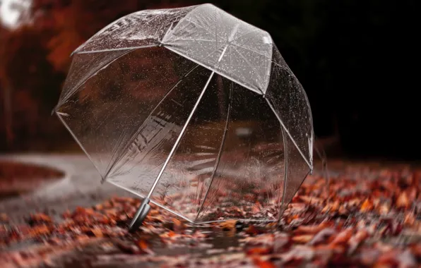 Heavy Rain Umbrella Images – Browse 4,181 Stock Photos, Vectors, and Video  | Adobe Stock