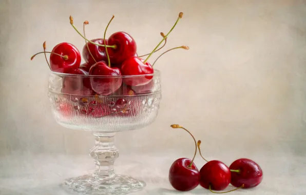 Picture berries, cherry, vase
