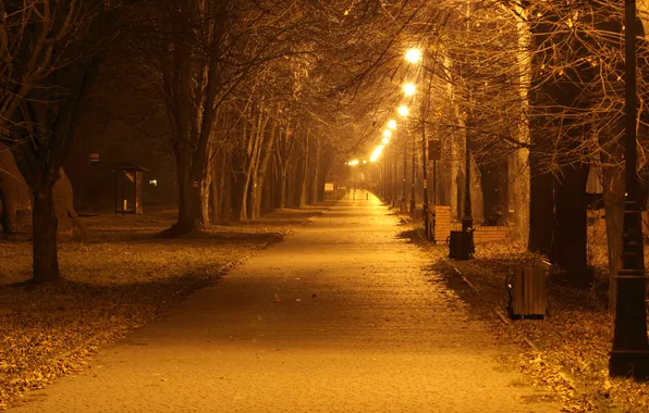 Autumn, trees, lights, lights, trees, autumn, street, lanterns