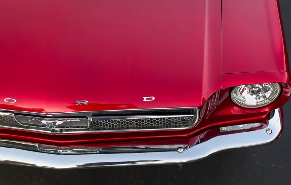 Picture red, Mustang, Ford, the hood, muscle car, Muscle car
