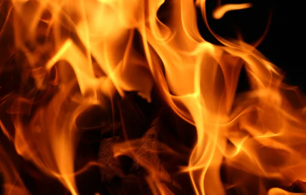 Fire, the fire, coal, kebab, skewers