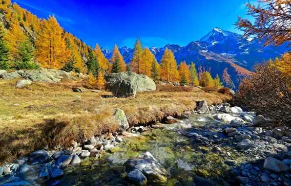 Autumn, forest, mountains, stones, river