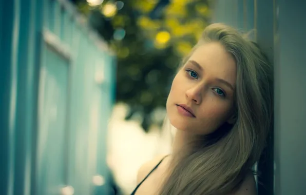 Portrait, sponge, Photohobic