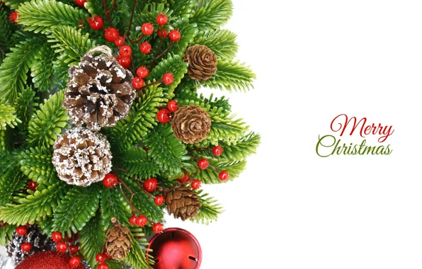 Picture holiday, toy, new year, bumps, decor, spruce branch