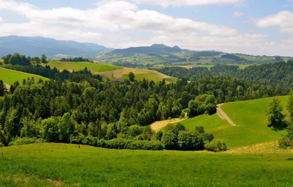 Picture city, wallpaper, Town