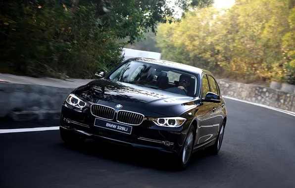 Picture road, trees, BMW, BMW, sedan, the front, 3 Series, Long Wheelbase