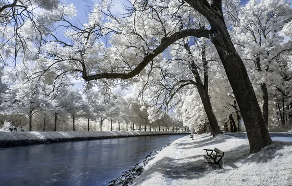 Infrared, Stockholm, Djurgården