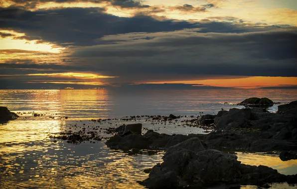 Water, shore, Nature