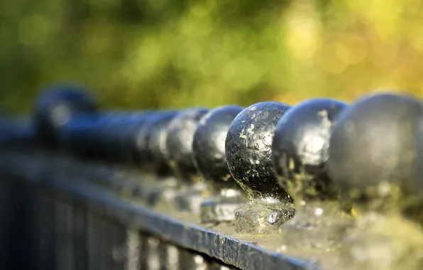 Macro, background, the fence