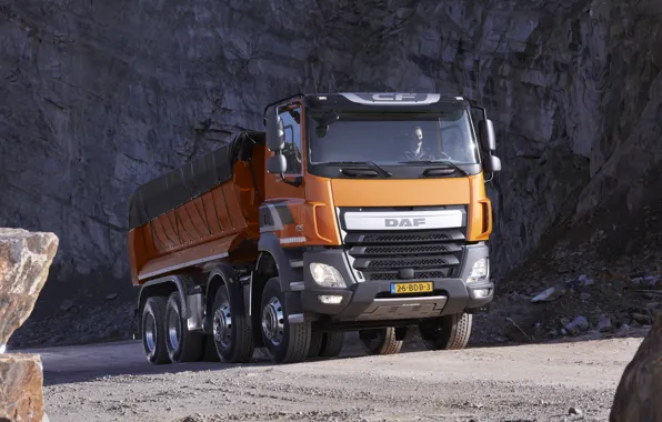 Orange, tent, body, primer, breed, DAF, DAF, quarry