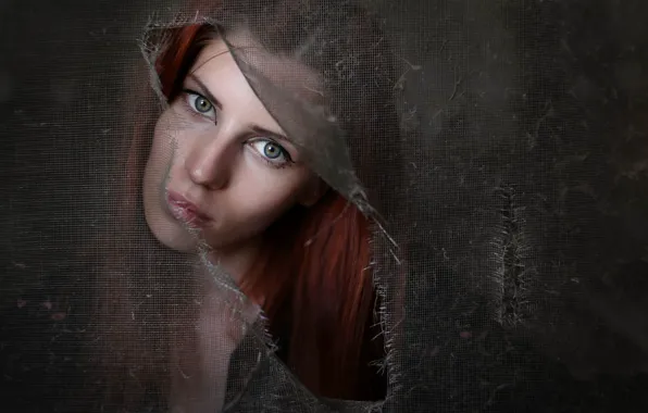 Wallpaper girl, portrait, Fulvia images for desktop, section девушки ...