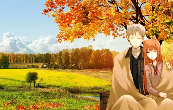 Holo, spice and wolf, Spice and wolf, The Wallpapers
