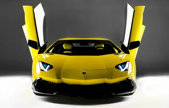 Lamborghini, door, supercar, the front, open, LP700-4, Aventador, 50 Anniversario Edition