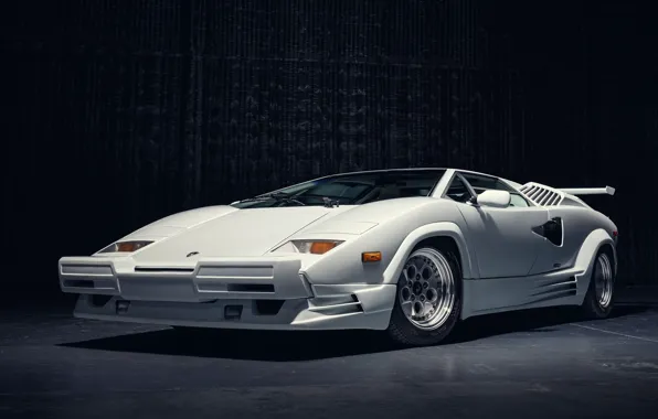 Wallpaper car, photography, Lamborghini Countach, white cars, Countach ...